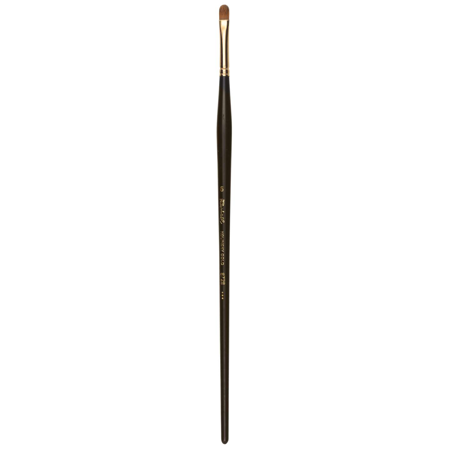 Raphael store Kolinsky Gold Long Handle Paintbrush 11 pcs